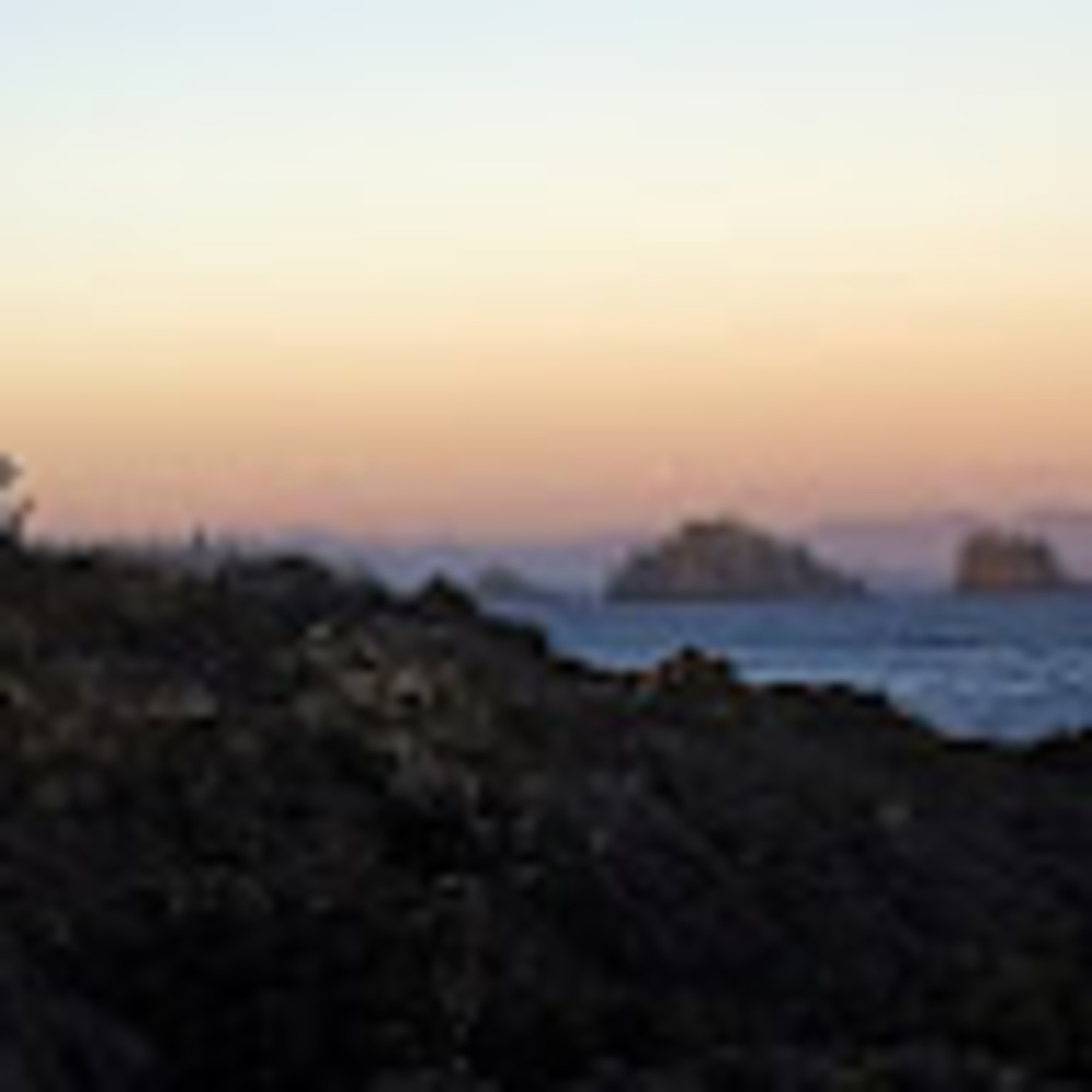 Meet your Posher, Elena